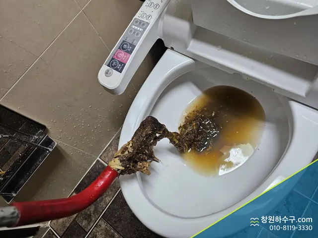 변기에서 오거로 끌어낸 막힘 이물